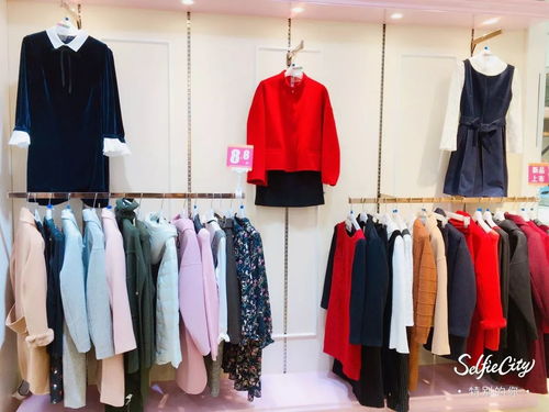 服装服饰 女性购买决策中的关键因素